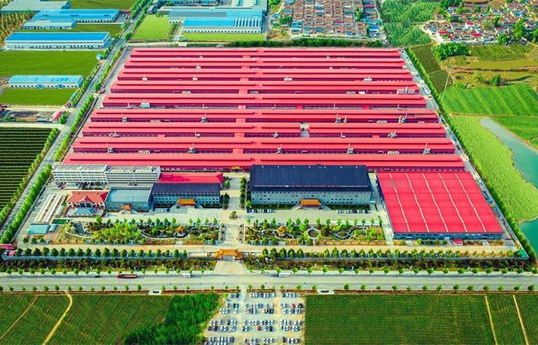 紅木品牌觀察 | 巧奪天工：逆流破局，掌握“反脆弱”密碼